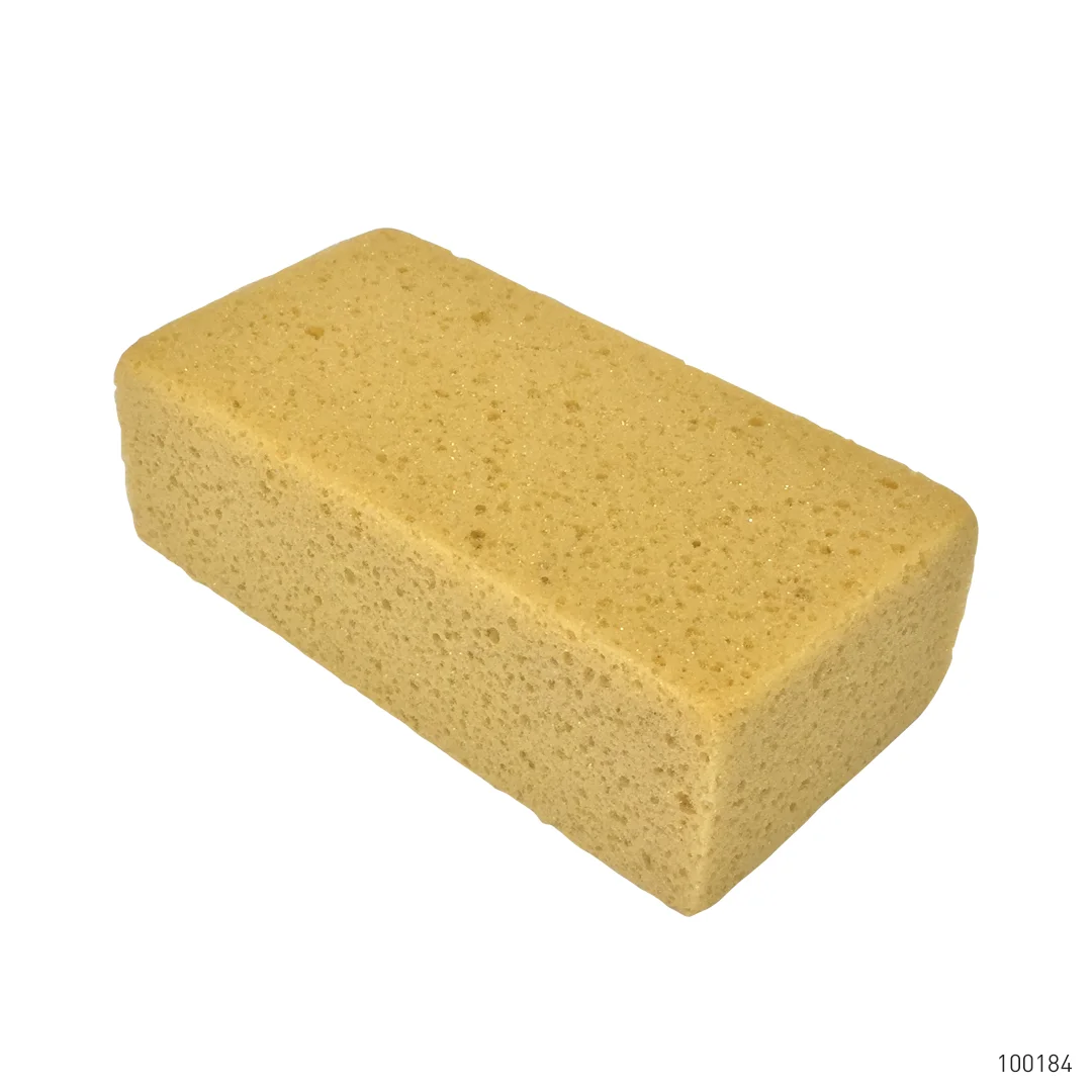 إسفنجة (سبونش) — 1
